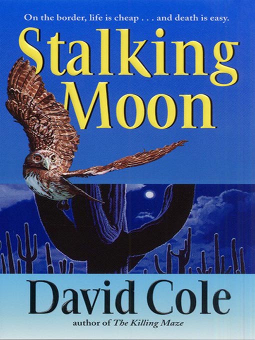 Cover image for Stalking Moon